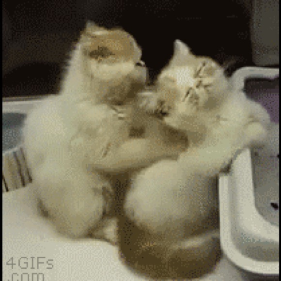 Please accept your order quickly. - Picture 3 of 3